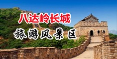 日本操逼视屏中国北京-八达岭长城旅游风景区