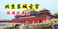 正在播放老熟女人与小伙中国北京-东城古宫旅游风景区